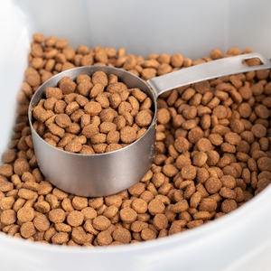 9 Ways to Lower and Manage Cortisol Levels
