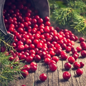 9 Ways to Lower and Manage Cortisol Levels