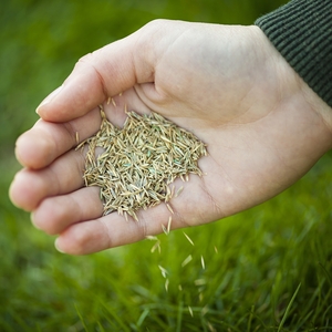 9 Ways to Lower and Manage Cortisol Levels