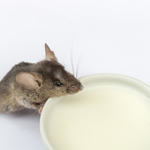 9 Ways to Lower and Manage Cortisol Levels