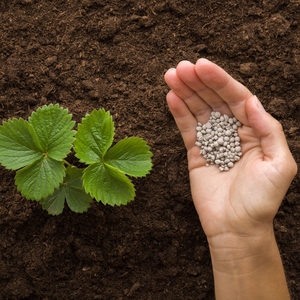 9 Ways to Lower and Manage Cortisol Levels