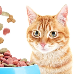 9 Ways to Lower and Manage Cortisol Levels
