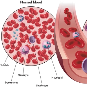 9 Ways to Lower and Manage Cortisol Levels